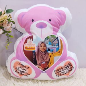 Bear freestyle pillow